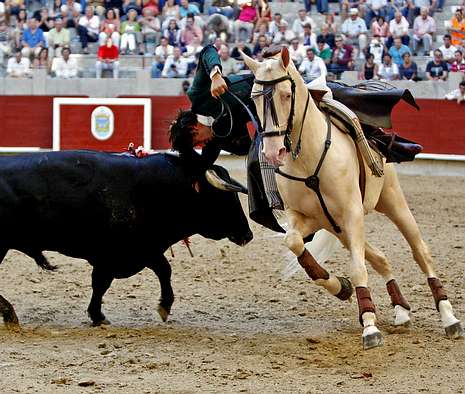 La de Pontevedra es una de las ferias taurinas que más me gustan