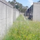 La Maleza Invade Sin Control El Cementerio De La Atalaia En Muros