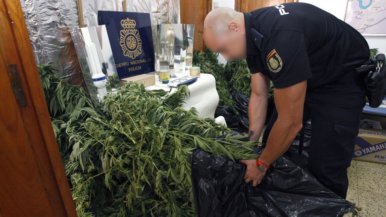 Detenido Un Vecino De Monforte Con Kilos De Marihuana