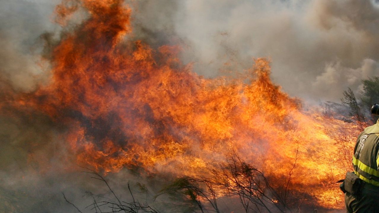 Un Incendio Calcina Hect Reas De Monte En Quintill N