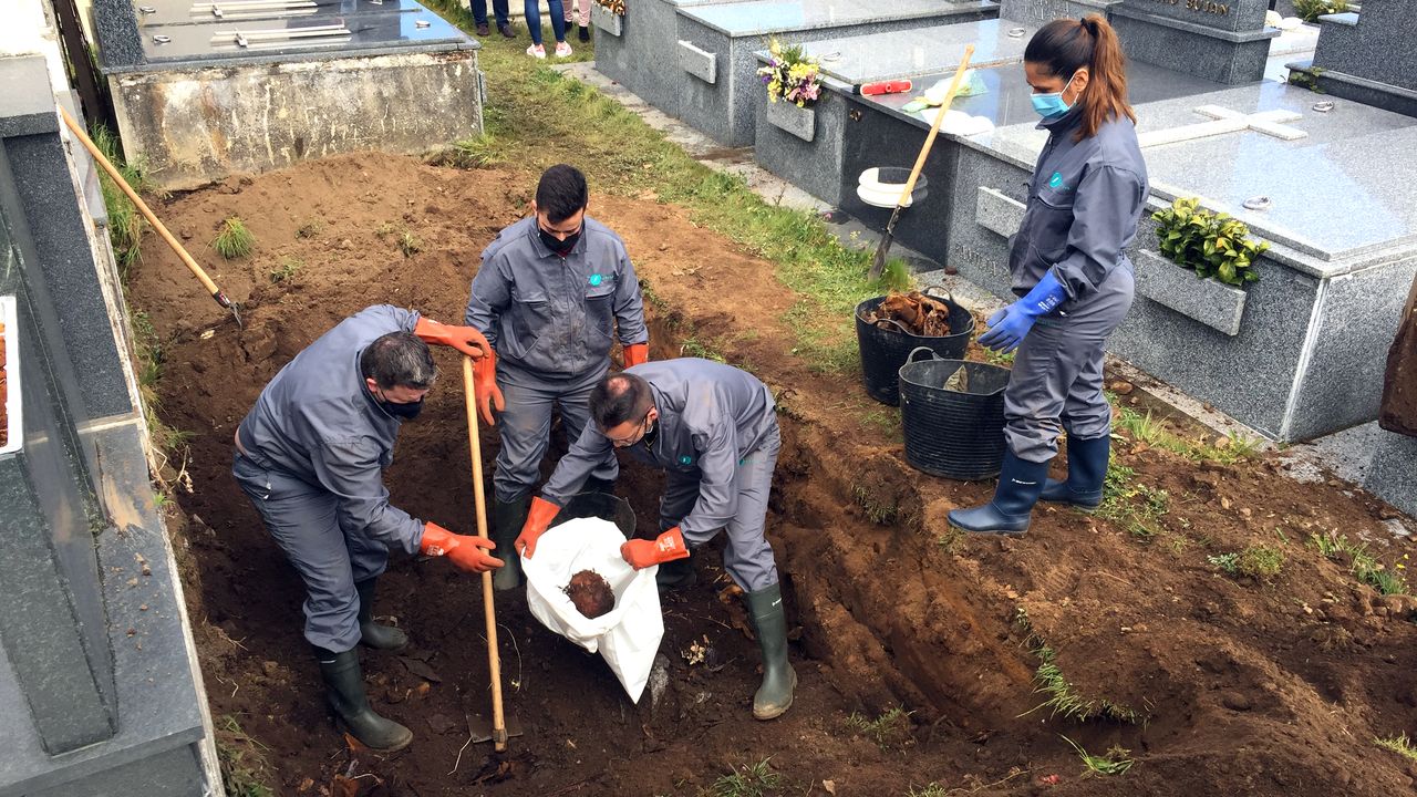 Exhumados los restos de 30 personas en el cementerio lucense de San Froilán