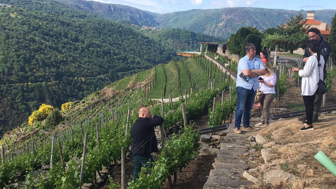 El Vino Y La Bella Durmiente Ribeira Sacra Vista Por Los Sumilleres De