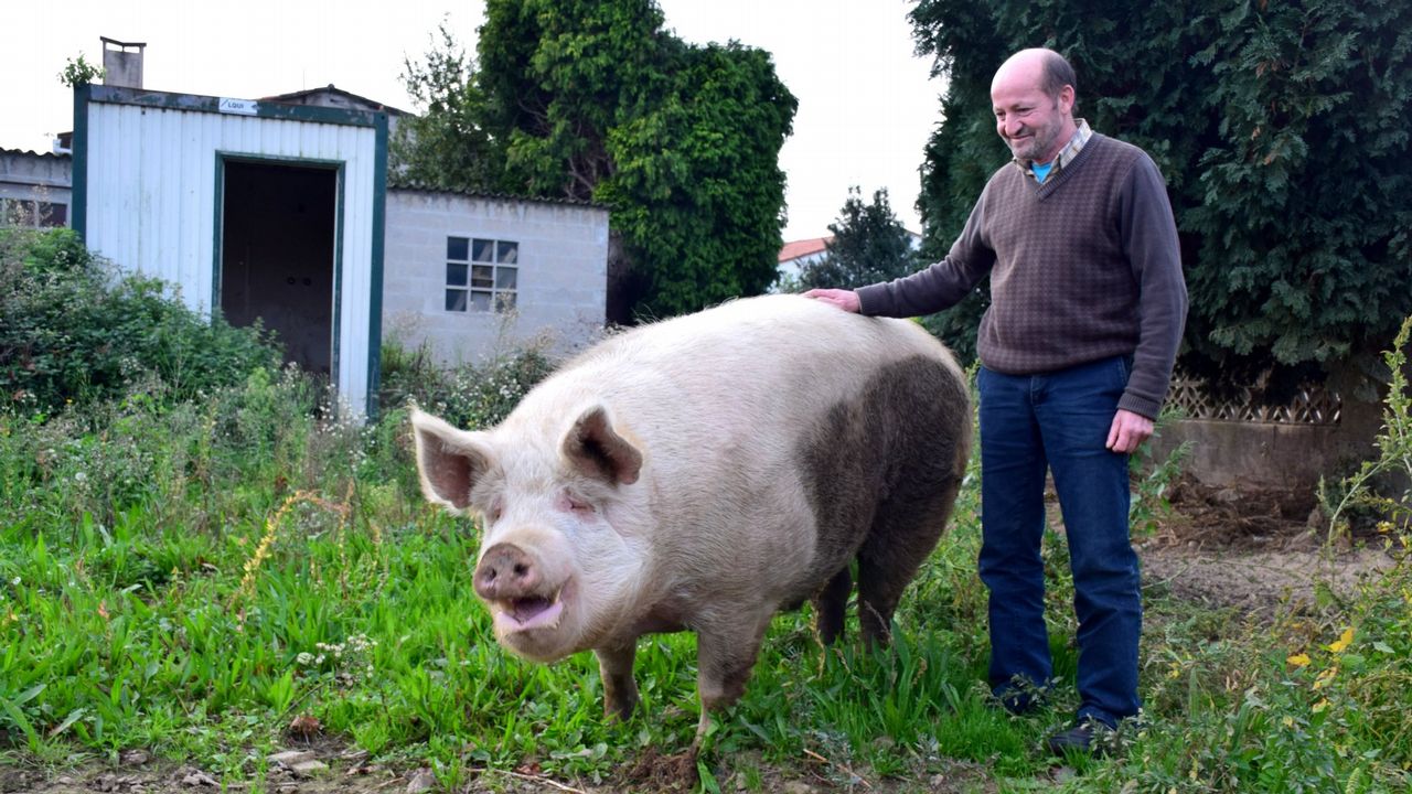 Como hacer el secreto de cerdo para que quede tierno