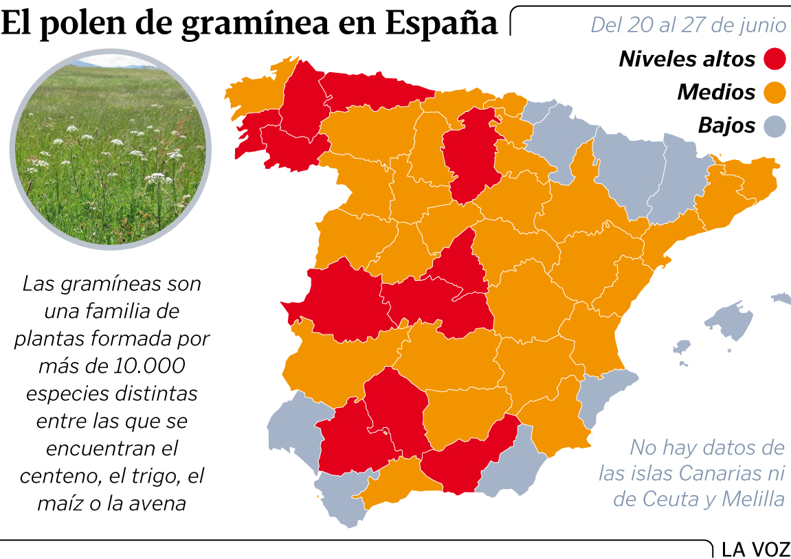 mapa gramineas españa Las gramíneas campan a sus anchas