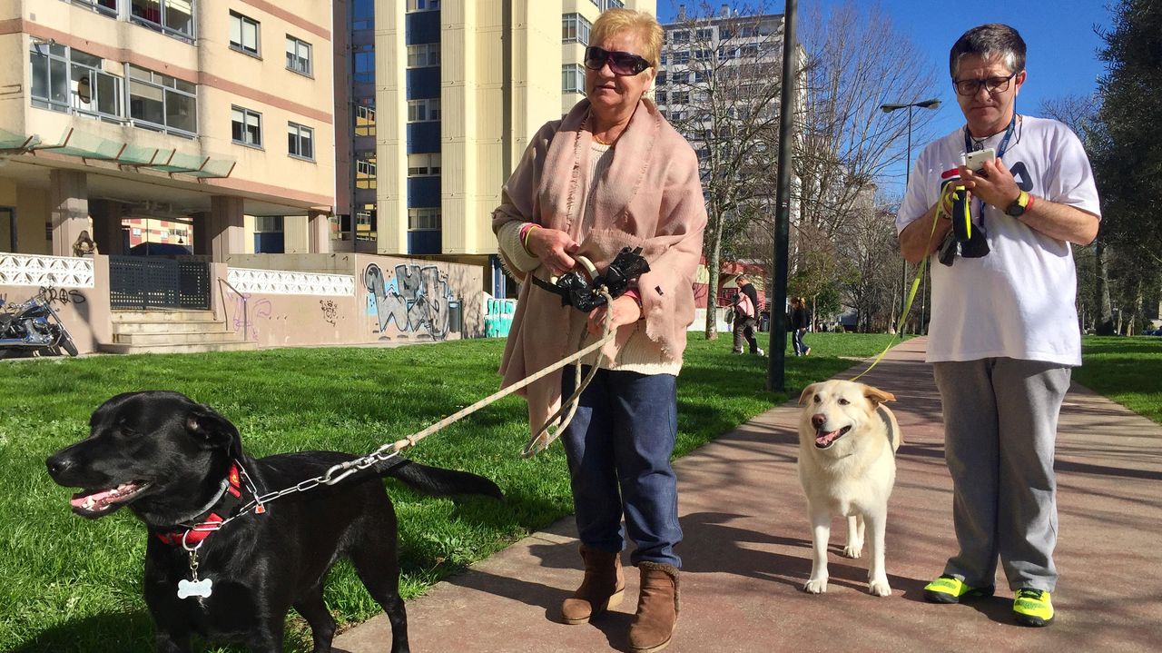 Sucesos en Vigo  Así fueron los ataques de perros a personas más sonados  de la última década en Vigo