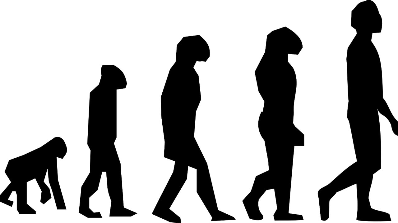 Эволюция человека вектор