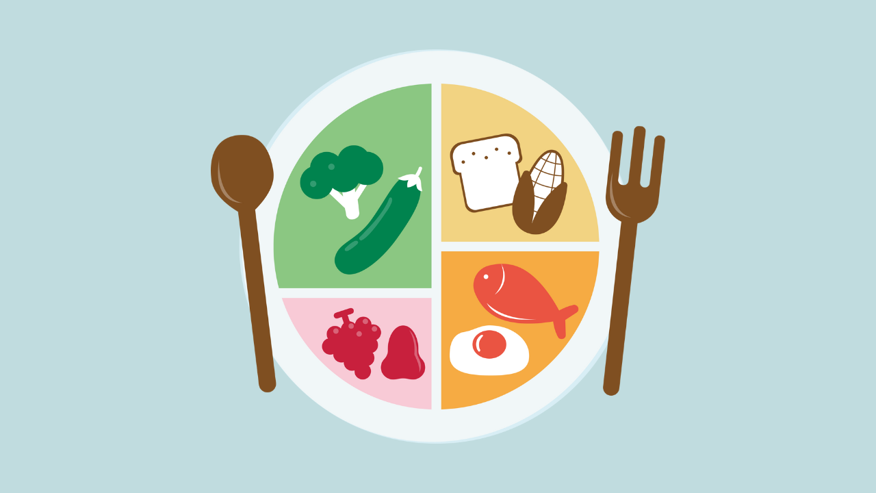 El Plato de Harvard, guía de alimentación saludable para niños y adultos
