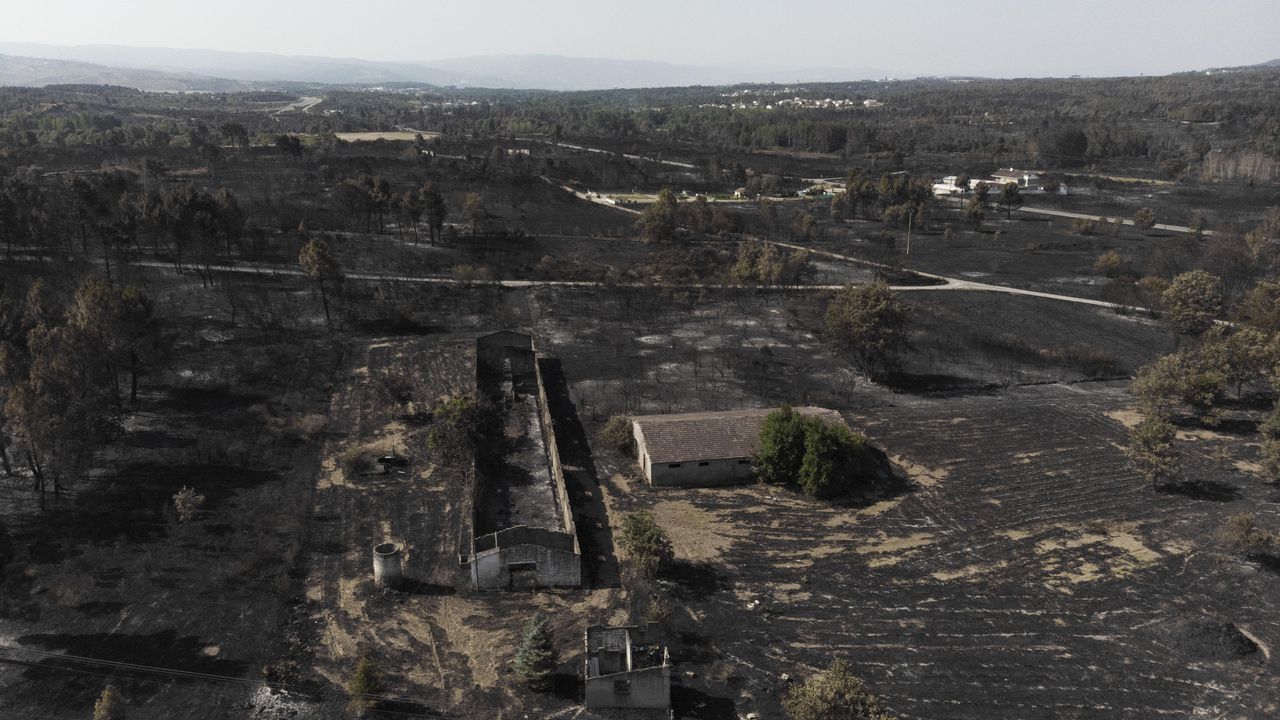 Os incêndios de Valdeorras e O Courel já são os maiores da história da Galiza