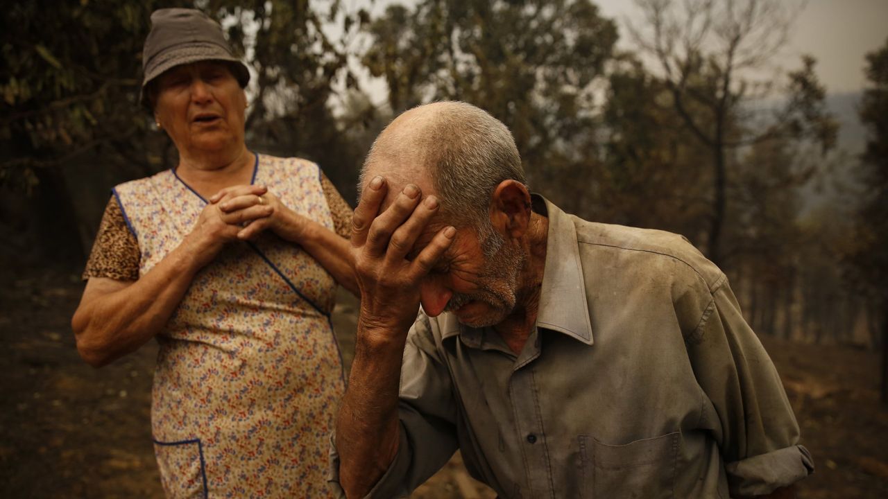 O abandono da montanha e o clima, culpados das 63 mortes no incêndio de Pedrgo