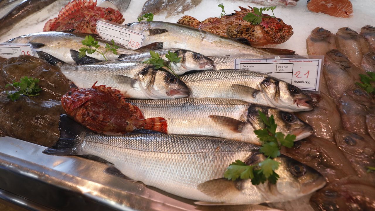 La merluza que siempre triunfa y cada vez más pescado azul