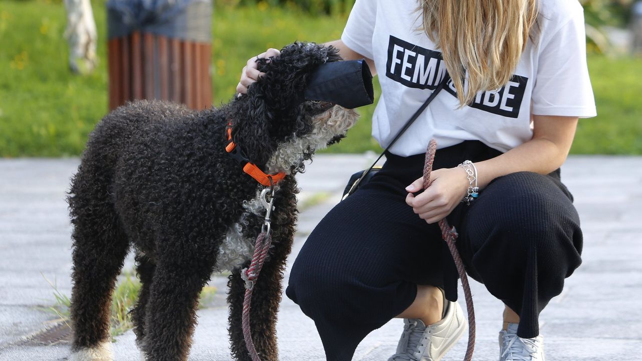 Más de 900 euros en una bolsa para recoger las cacas de los perros